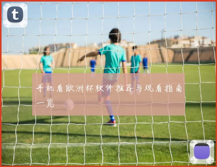 手机看欧洲杯软件推荐与观看指南一览