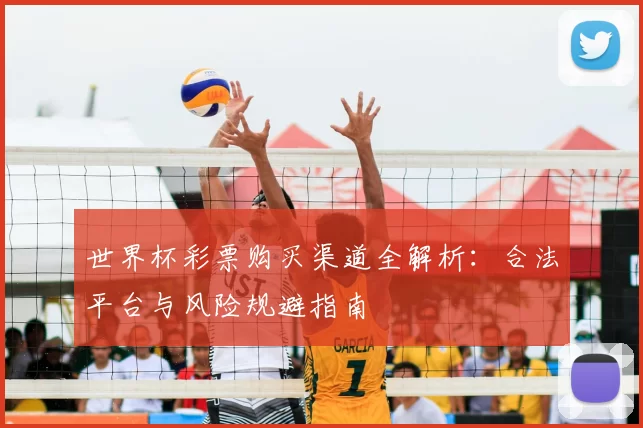 世界杯彩票购买渠道全解析：合法平台与风险规避指南