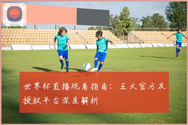 世界杯直播观看指南:五大官方及授权平台深度解析
