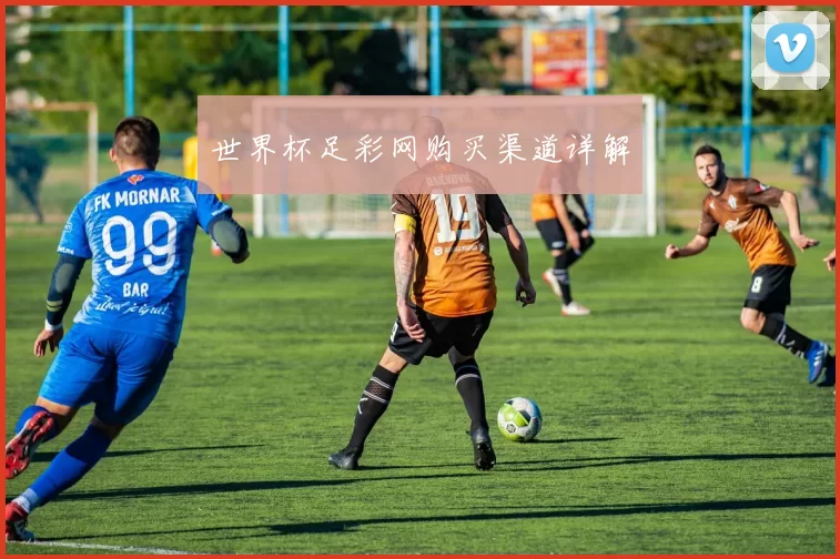 世界杯足彩网购买渠道详解