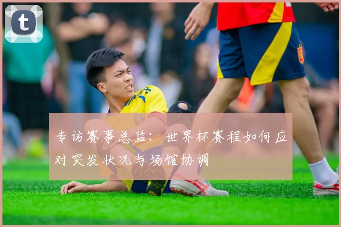 专访赛事总监：世界杯赛程如何应对突发状况与场馆协调
