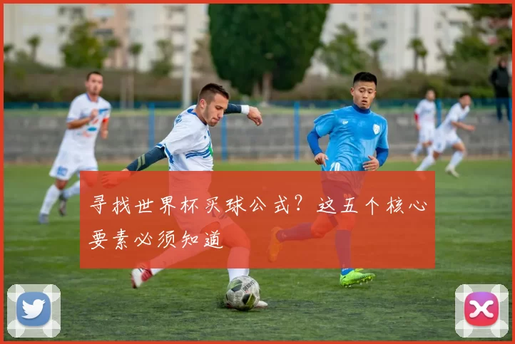 寻找世界杯买球公式?这五个核心要素必须知道
