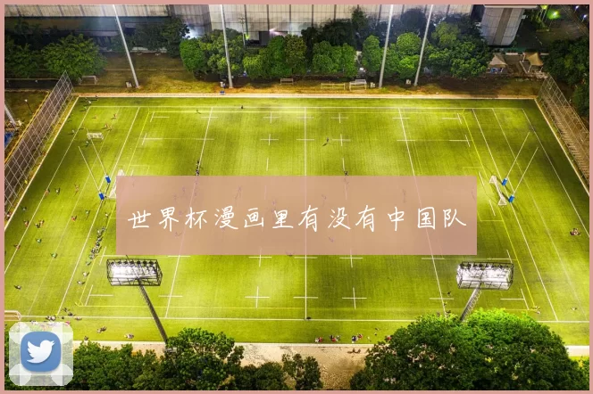 世界杯漫画里有没有中国队