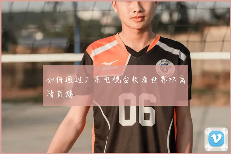 如何通过广东电视台收看世界杯高清直播