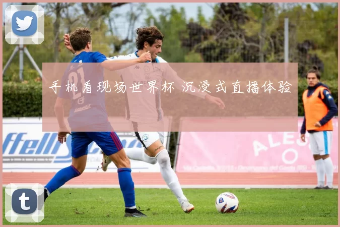 手机看现场世界杯 沉浸式直播体验