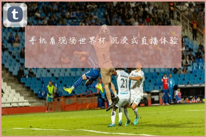 手机看现场世界杯 沉浸式直播体验